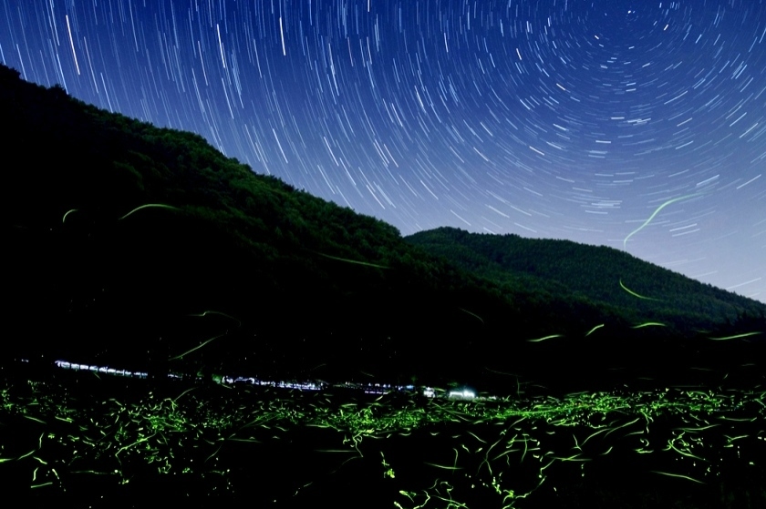 (写真:©辰野町観光協会)